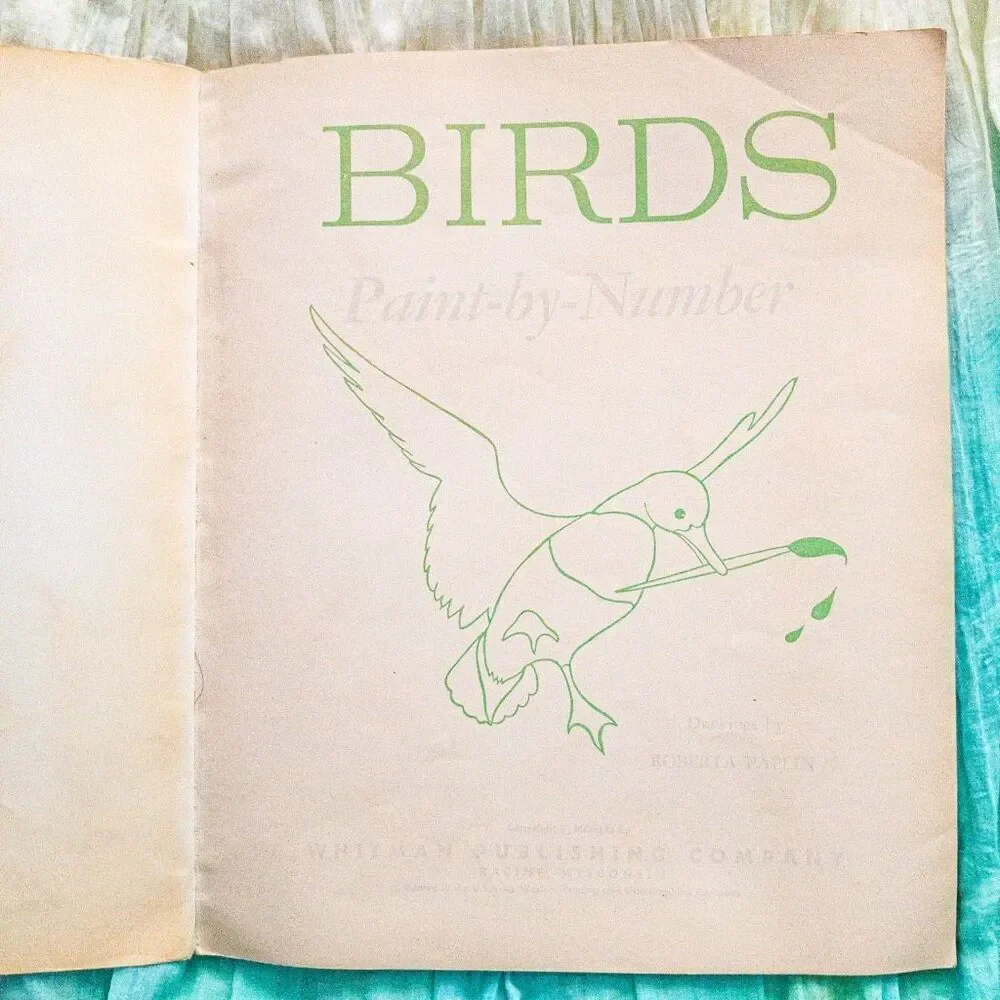 Vintage Birds Paint By Number Art Activity Book Whitman 1961